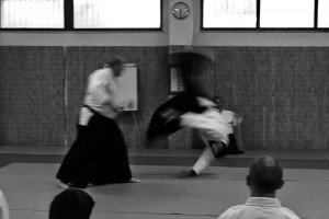 Zemponage su pratica Jo Nage