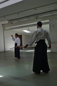 IMM_3966